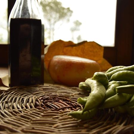 Agriturismo Riparossa Allerona المظهر الخارجي الصورة