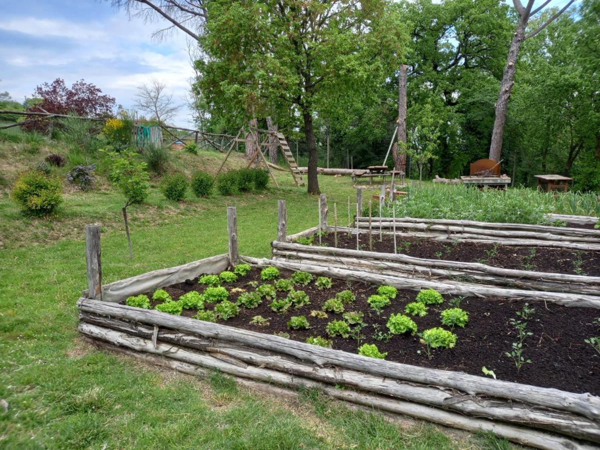 Agriturismo Riparossa Allerona المظهر الخارجي الصورة