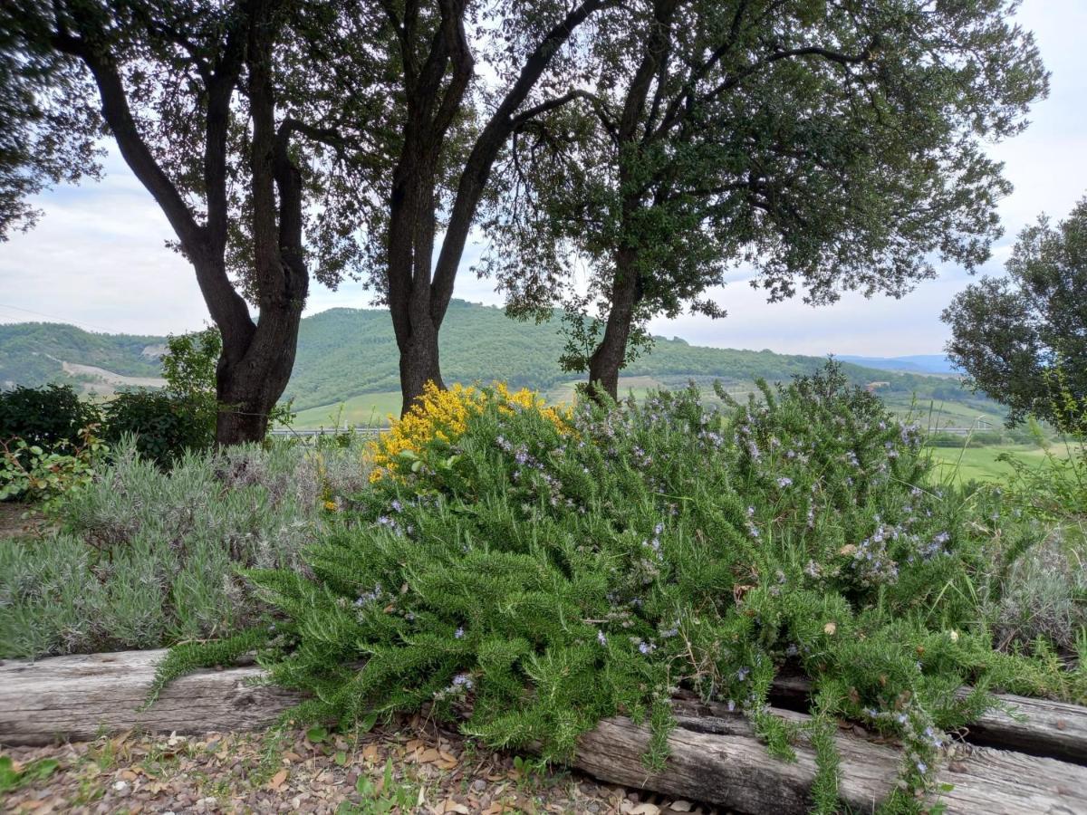 Agriturismo Riparossa Allerona المظهر الخارجي الصورة