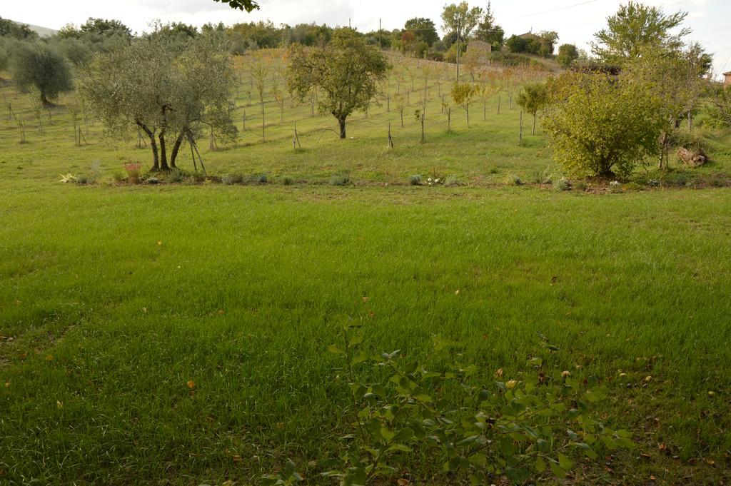 Agriturismo Riparossa Allerona المظهر الخارجي الصورة