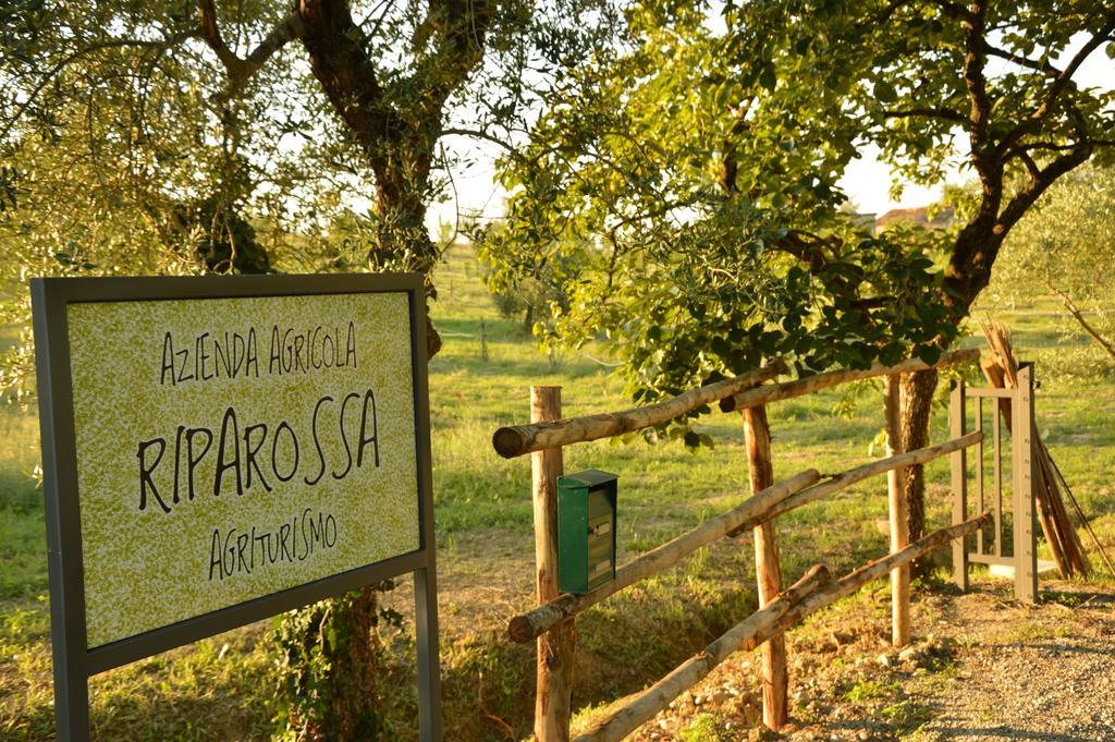 Agriturismo Riparossa Allerona المظهر الخارجي الصورة