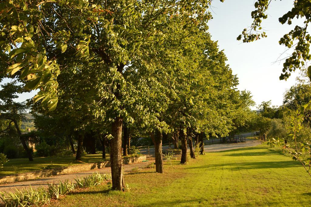 Agriturismo Riparossa Allerona المظهر الخارجي الصورة