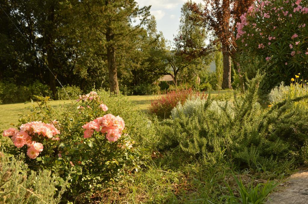 Agriturismo Riparossa Allerona المظهر الخارجي الصورة