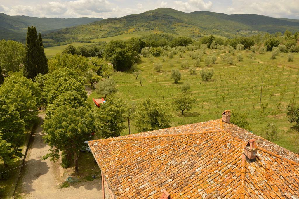 Agriturismo Riparossa Allerona المظهر الخارجي الصورة