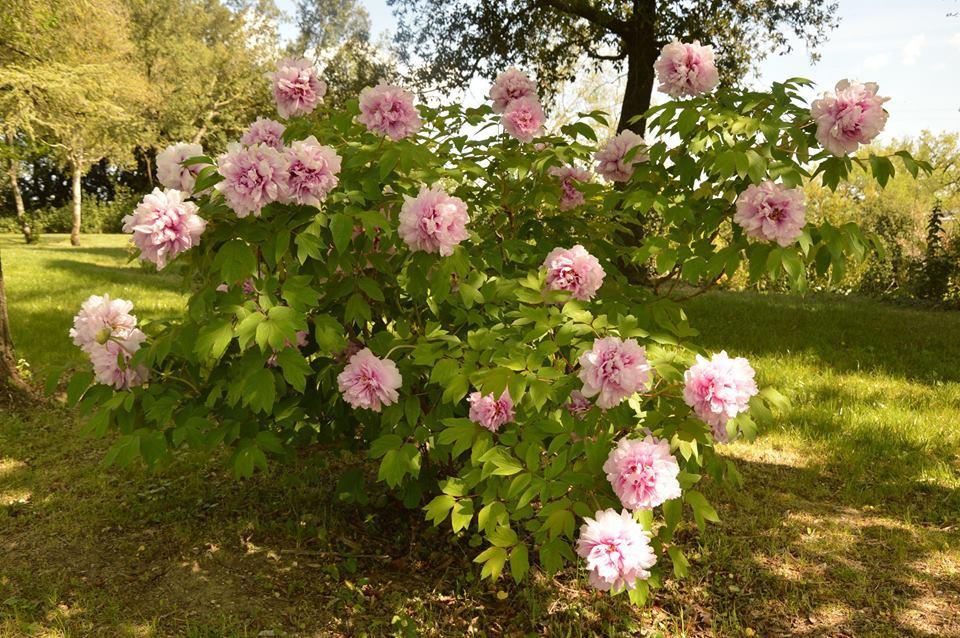 Agriturismo Riparossa Allerona المظهر الخارجي الصورة