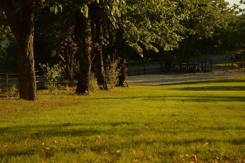 Agriturismo Riparossa Allerona المظهر الخارجي الصورة