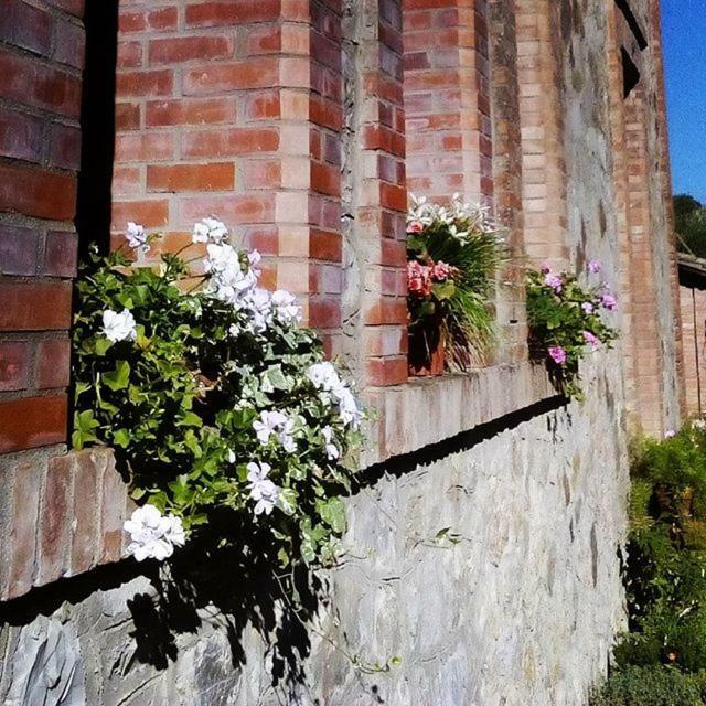 Agriturismo Riparossa Allerona المظهر الخارجي الصورة