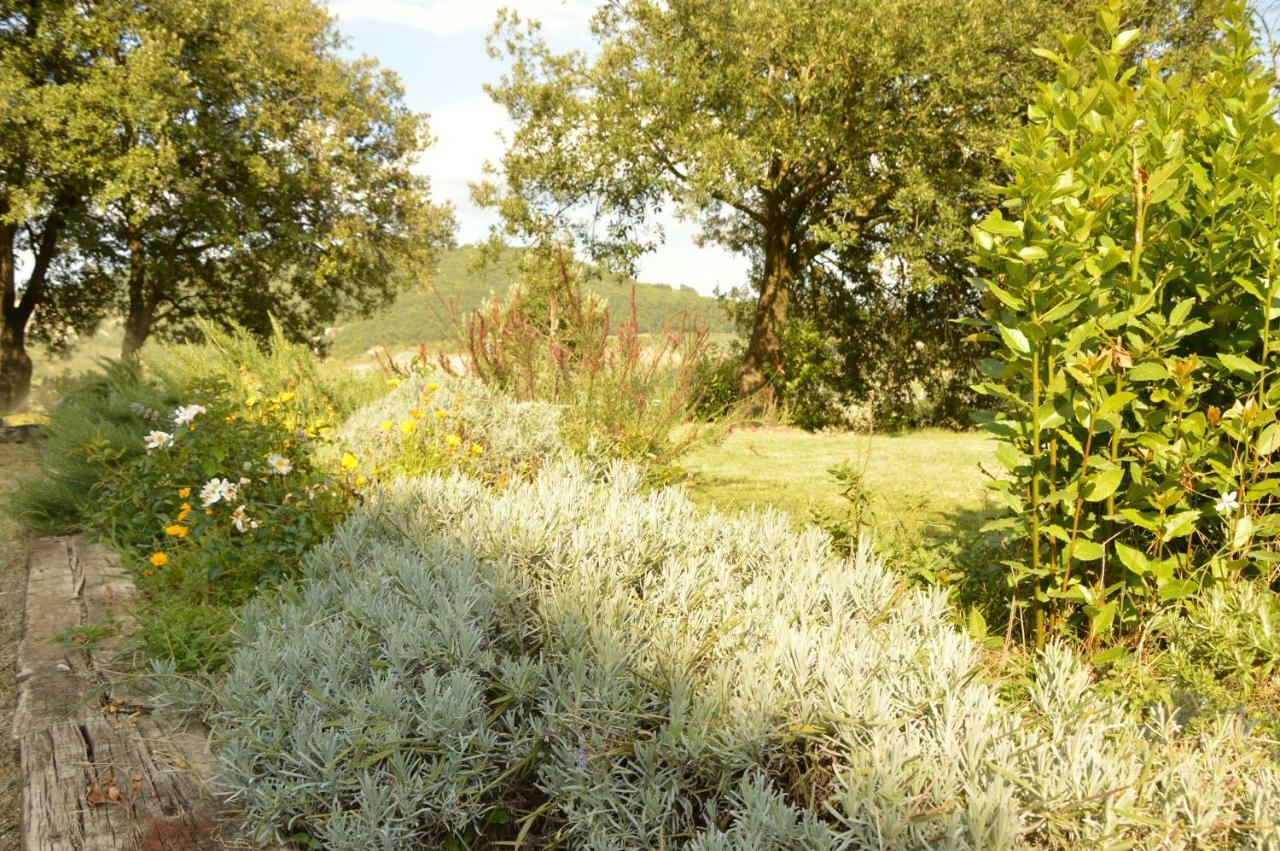 Agriturismo Riparossa Allerona المظهر الخارجي الصورة