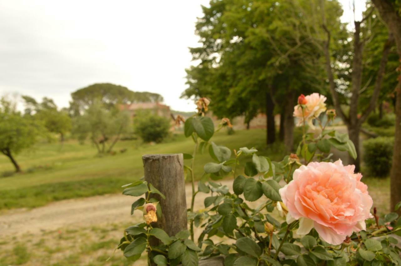 Agriturismo Riparossa Allerona المظهر الخارجي الصورة
